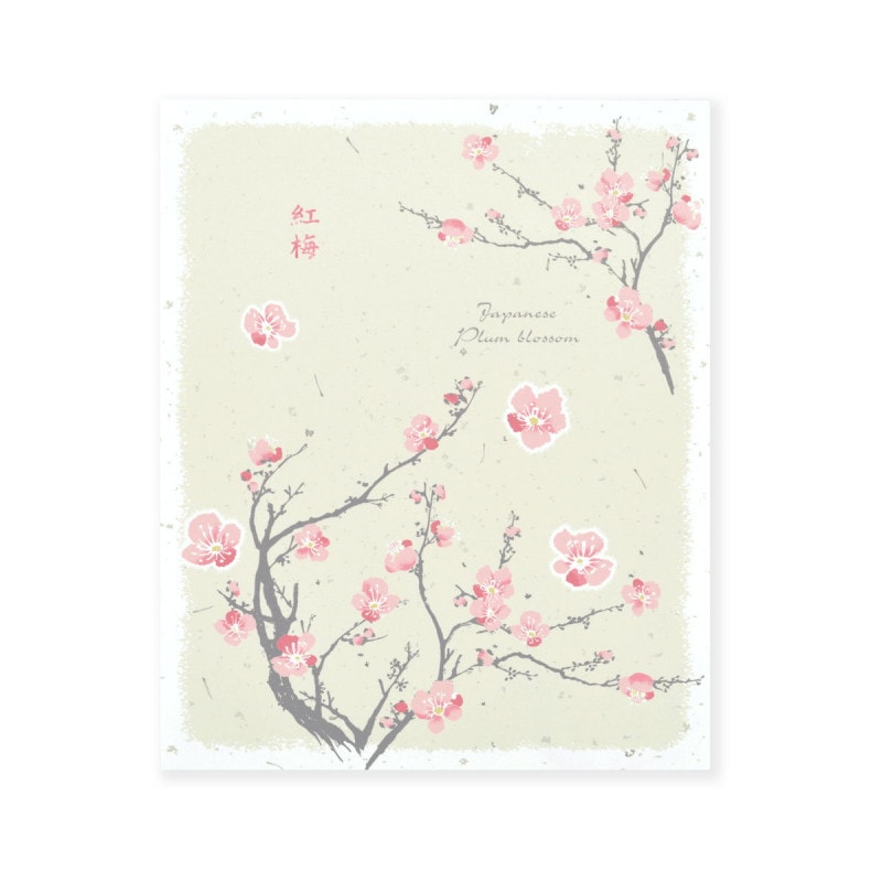 ��䵡��¡����ߡ�pd-589