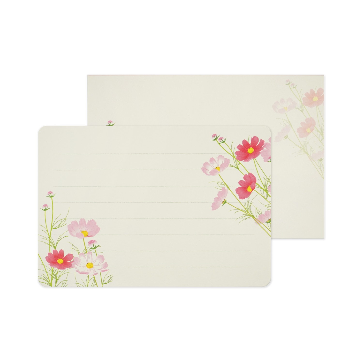 ミニレターセット 草原のコスモス｜mls-130 | 手紙・カード,ミニレター