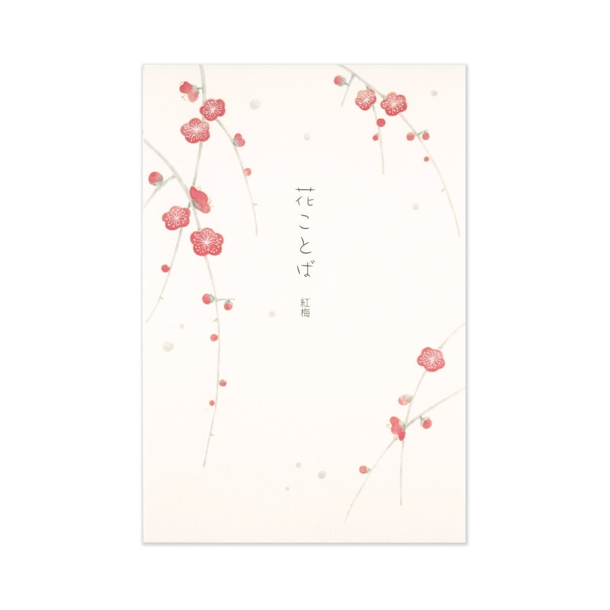 はがき箋　花ことば　紅梅｜hgs-283