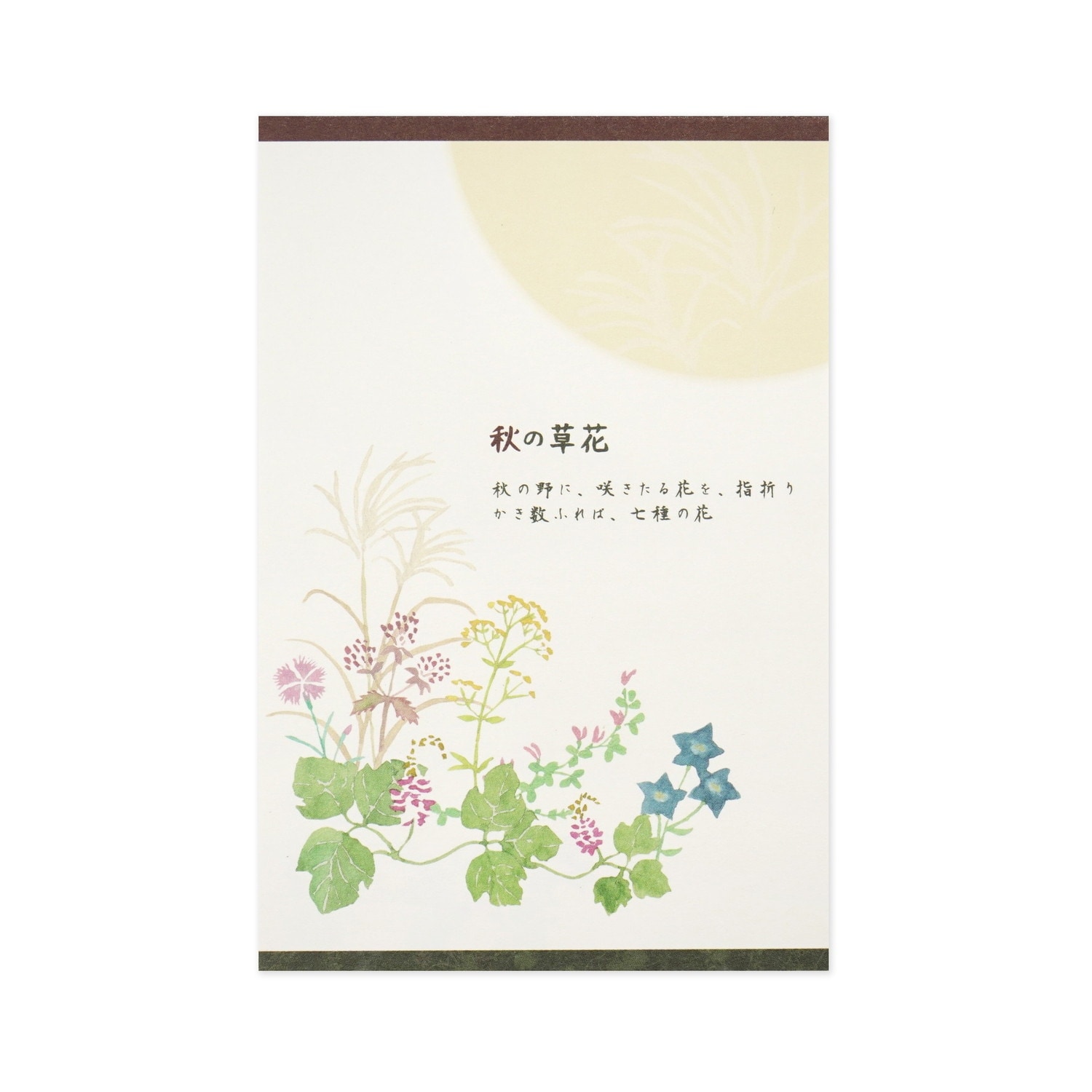 はがき箋 秋の草花｜hgs-459