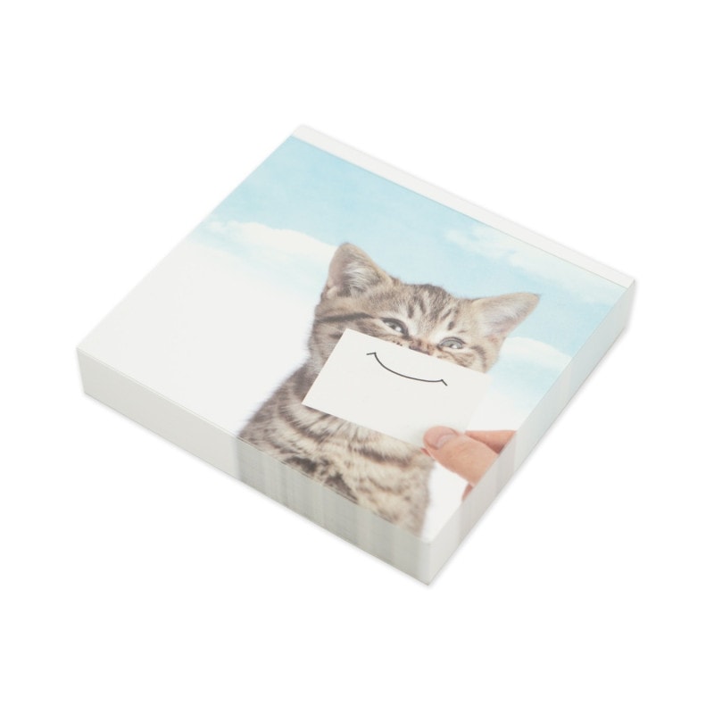 �֥��å���⡡���ޥ��륭��åȡ�wp-085