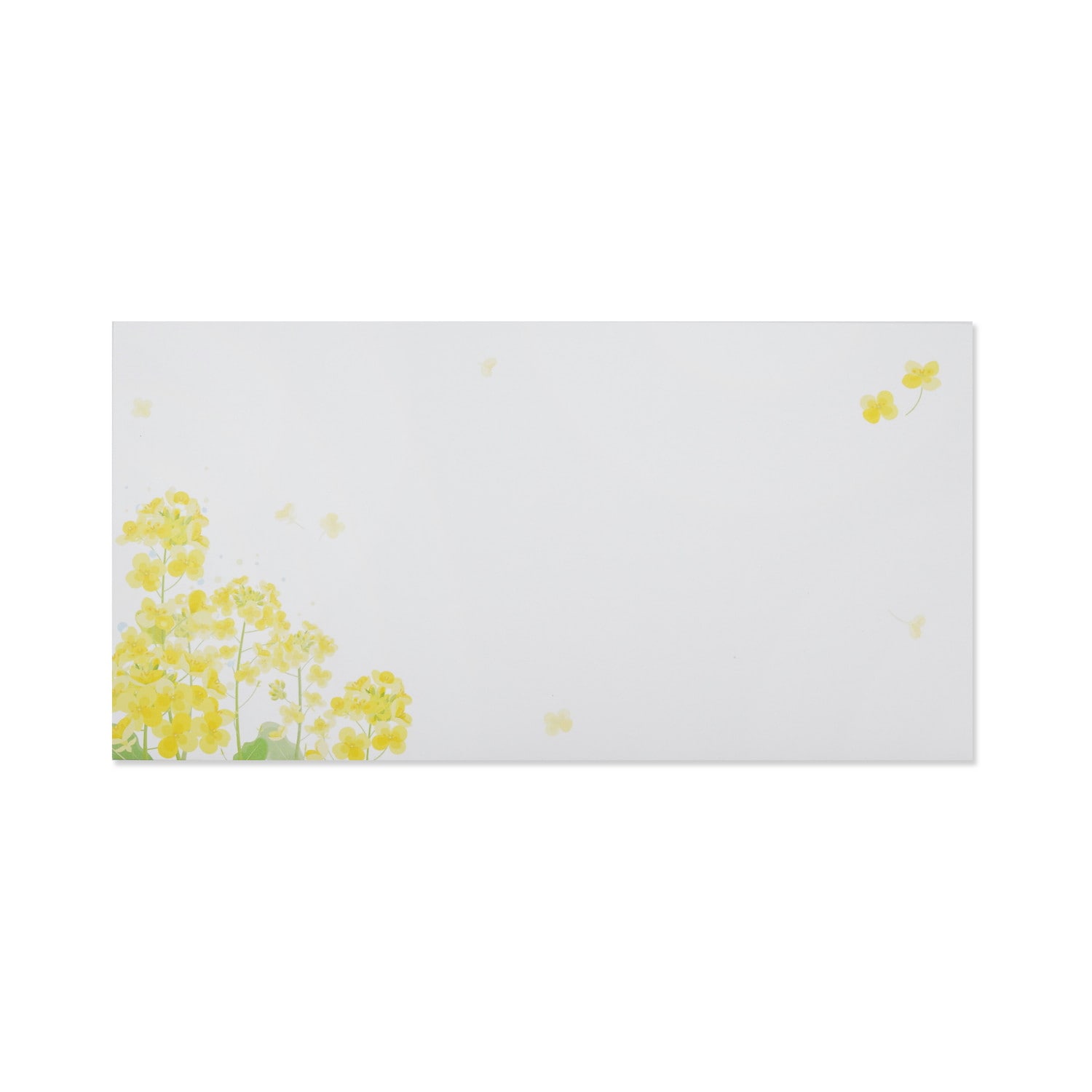 封筒 菜の花の便り｜ev-641 | 新商品,2025春,封筒