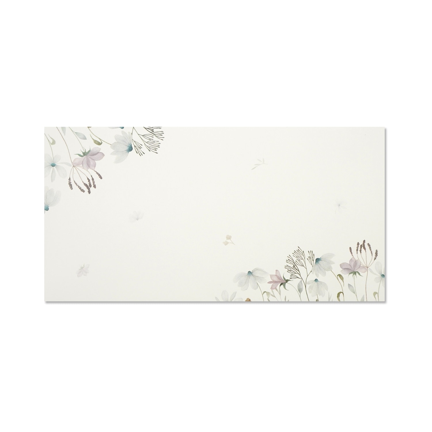 封筒　野の花｜ev-660