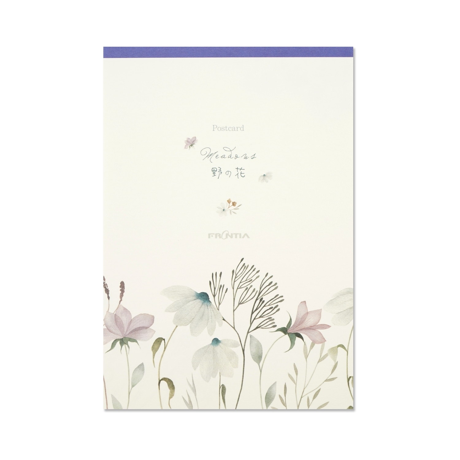 はがき箋　野の花｜hgs-488