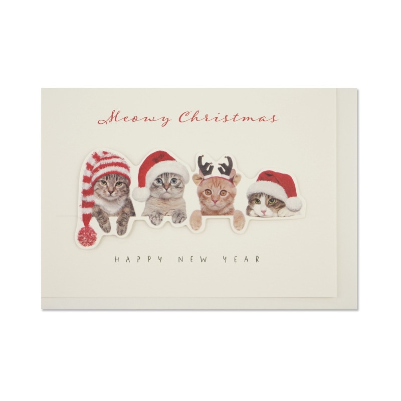 ΩΥꥹޥɡ󥿥åġxcd-306