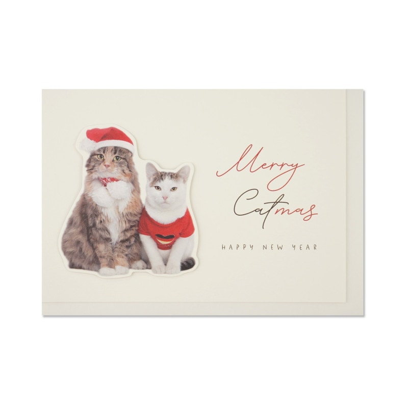 ΩΥꥹޥɡڥåġxcd-307