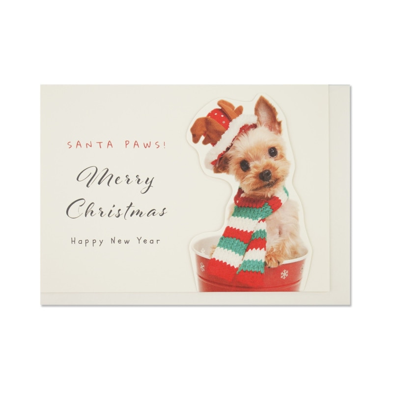 ΩΥꥹޥɡۥ︤󥿡xcd-309