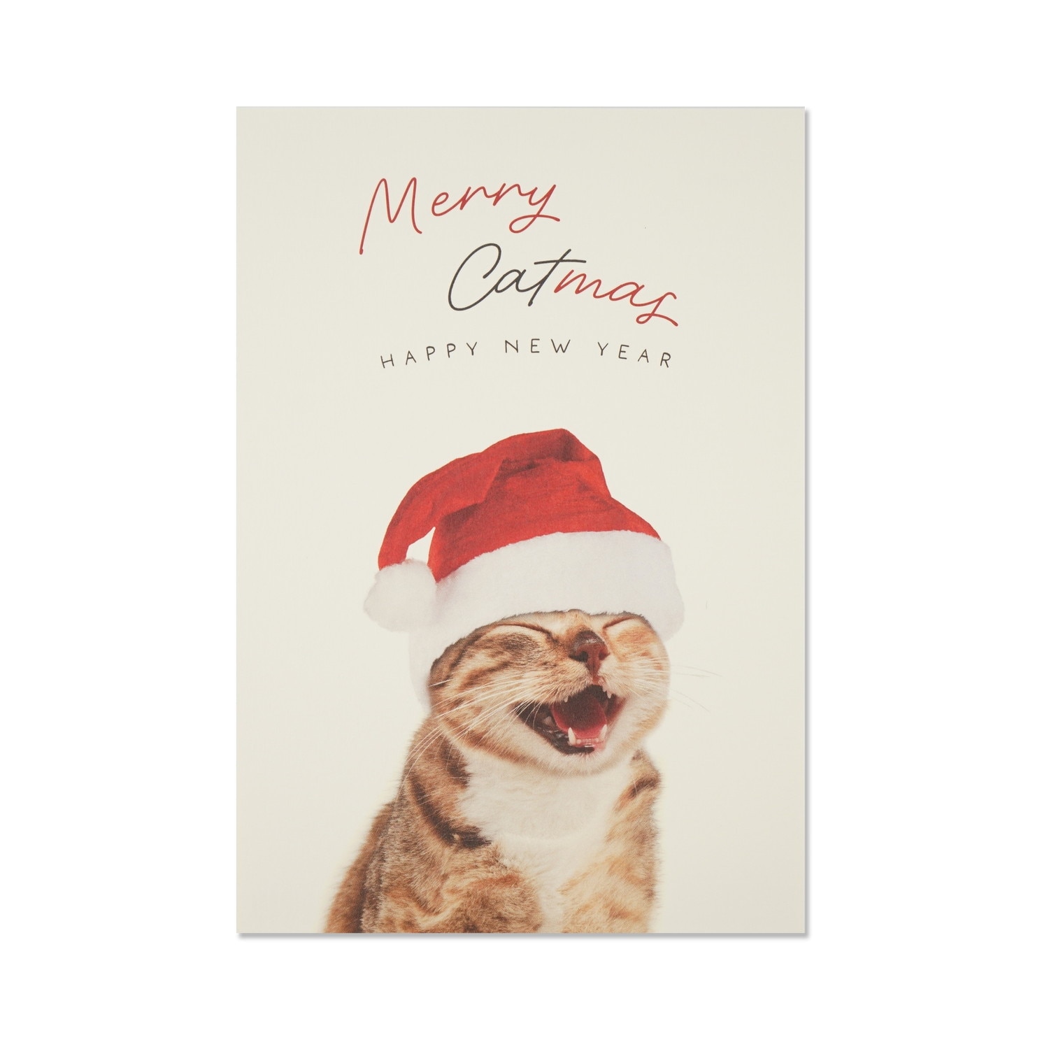 クリスマスポストカード　笑い目猫サンタ｜pcr-149