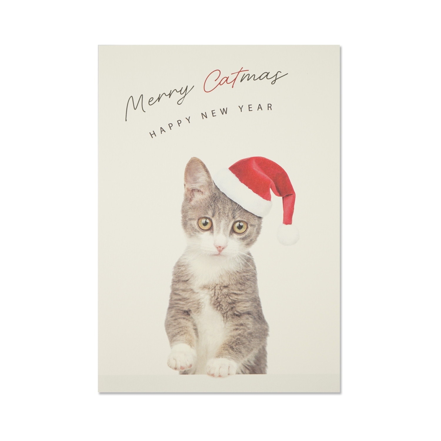 クリスマスポストカード　丸い目猫サンタ｜pcr-150