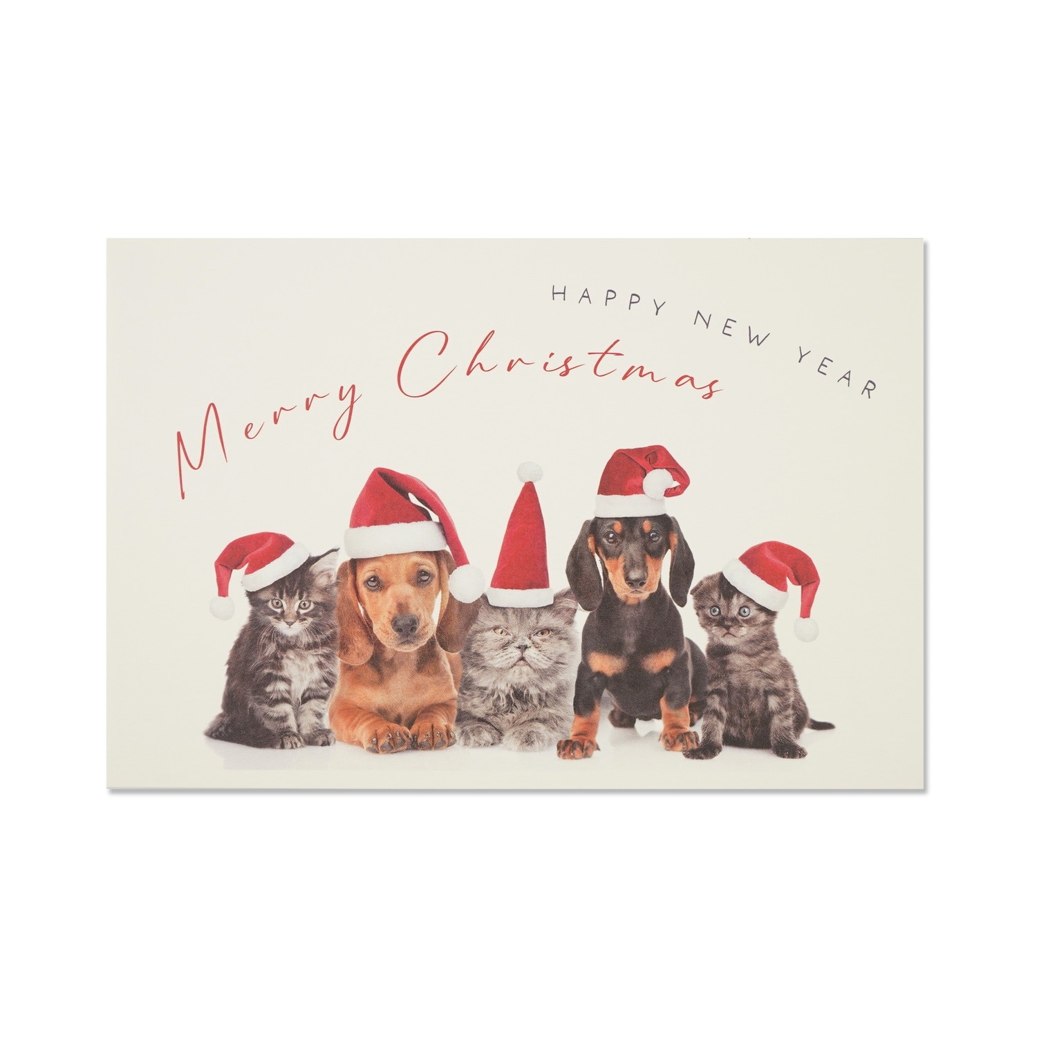 クリスマスポストカード ニャンコワンコ｜pcr-151 | 手紙・カード