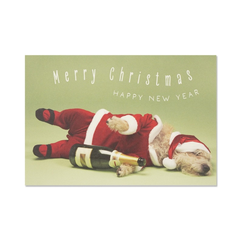 ���ꥹ�ޥ��ݥ��ȥ����ɡ��줤�ɤ��󥳥��󥿡�pcr-154