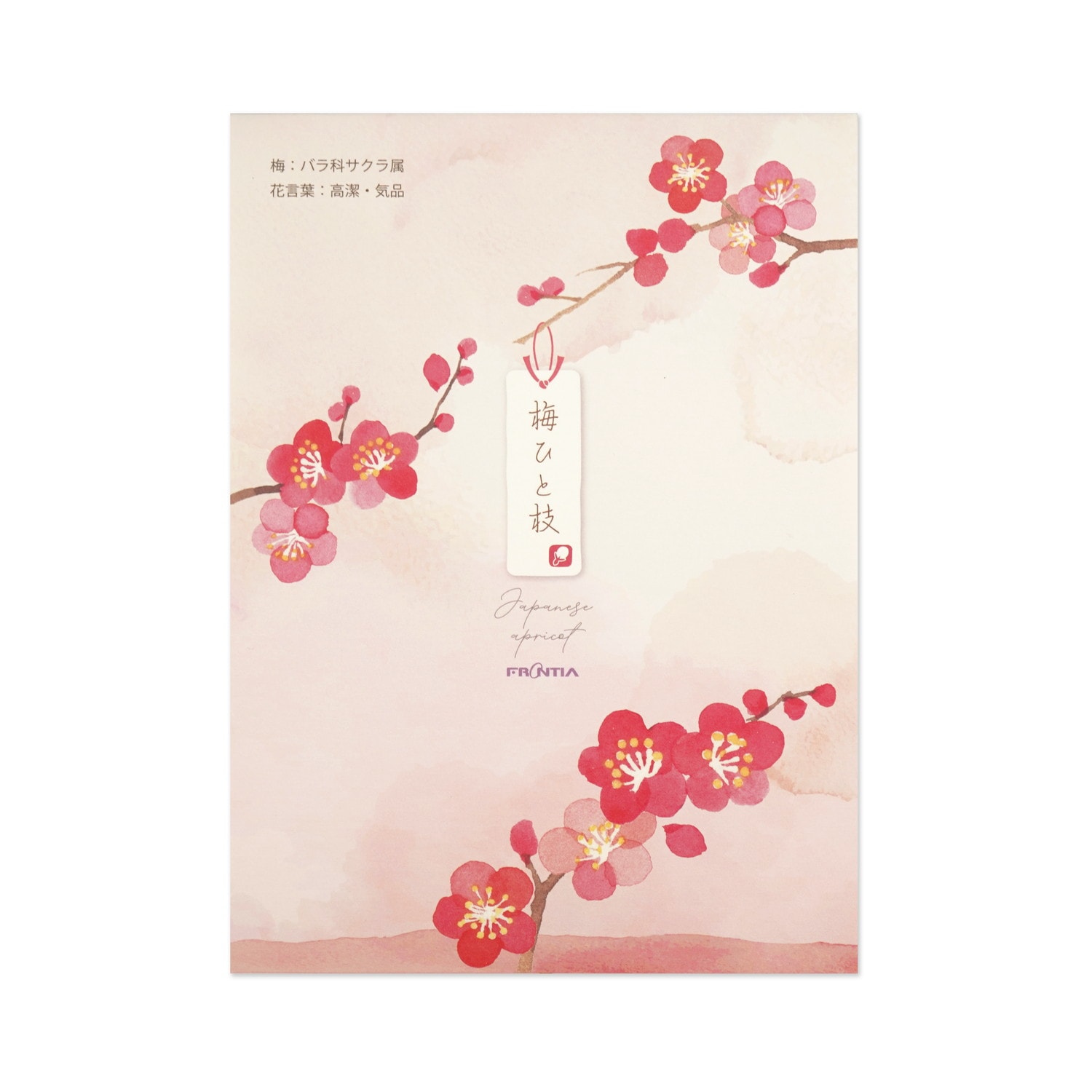 便箋　梅ひと枝｜pd-688