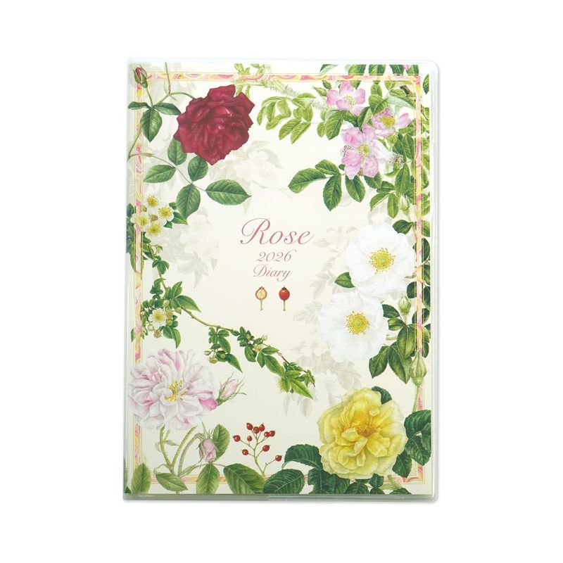 2026�������꡼���������饷�å��������������ϡ�dy-134