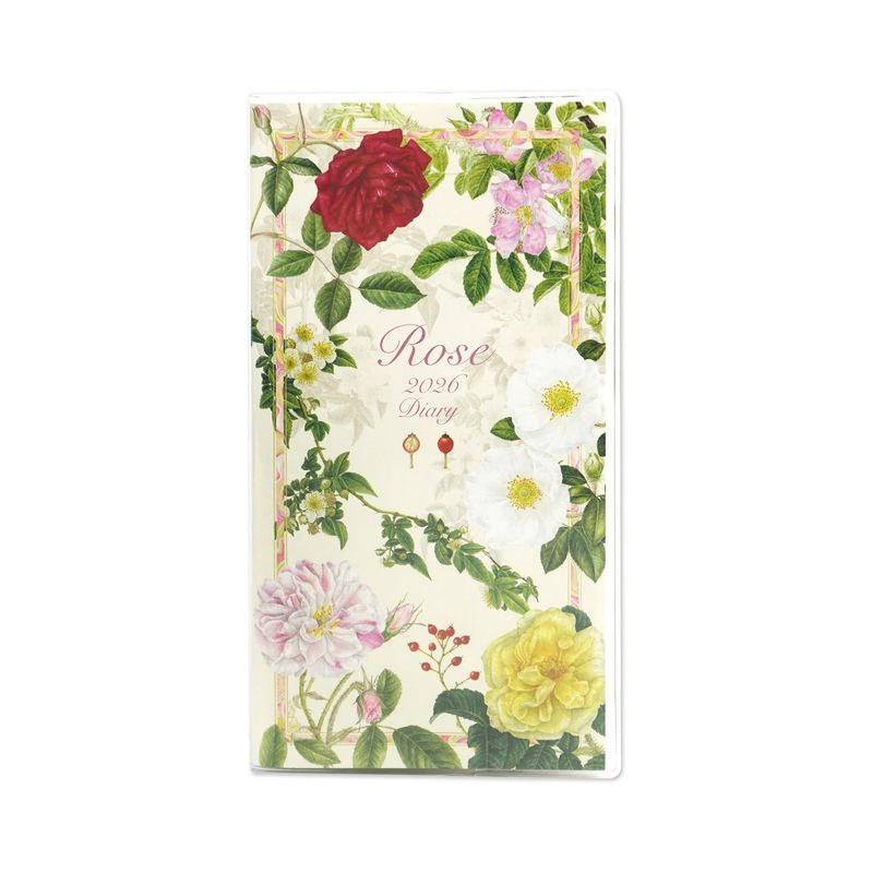 2026꡼ӣӡ饷åϡdy-146