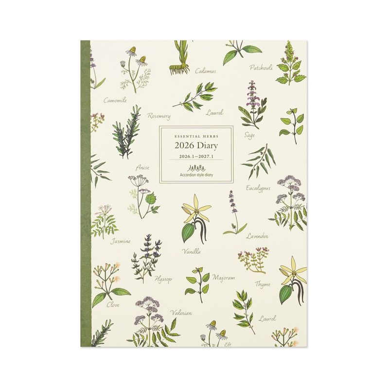 2026�������꡼����������Х�������꡼��dy-156