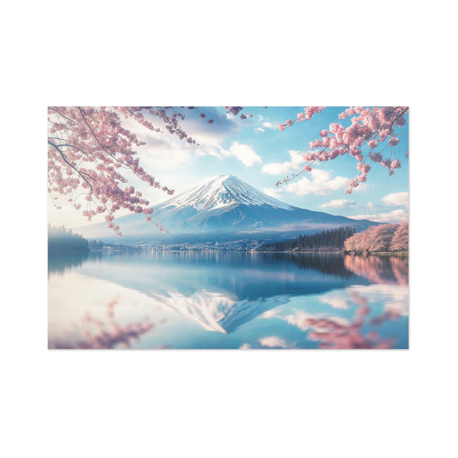 ポストカード　桜と逆さ富士｜pcr-160