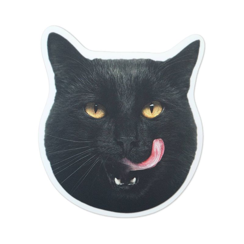 J���ޥۥ��ƥå����������ͥ���sl-267