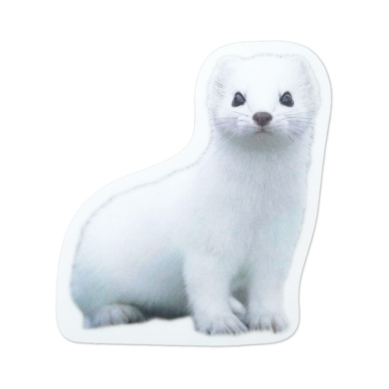 J���ޥۥ��ƥå��������������sl-268