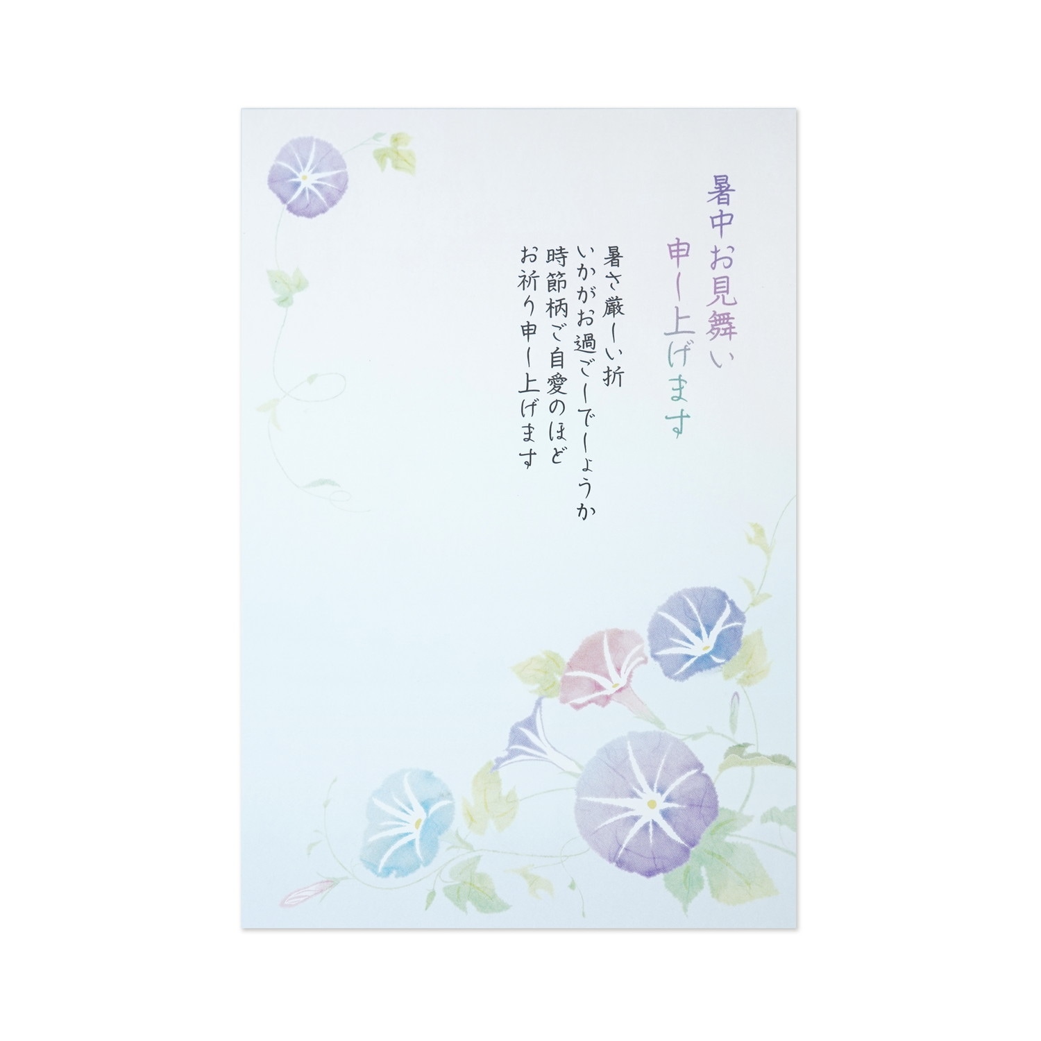 暑中お見舞い　夏のあさがお｜npc-323