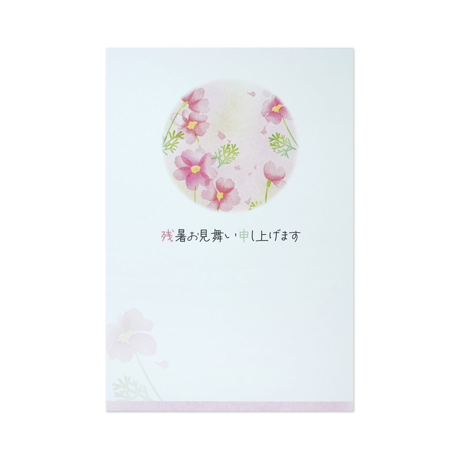 残暑お見舞い　秋桜だより｜npc-326