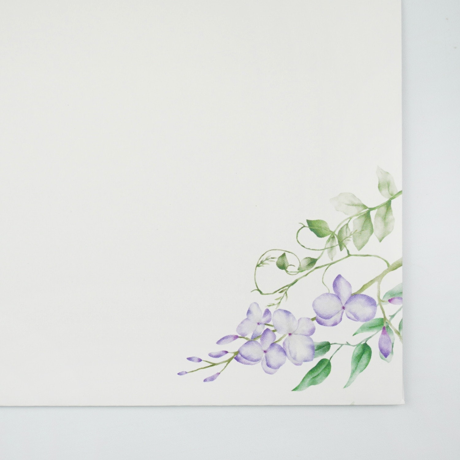 �������ǥ��󥿡�ev-646