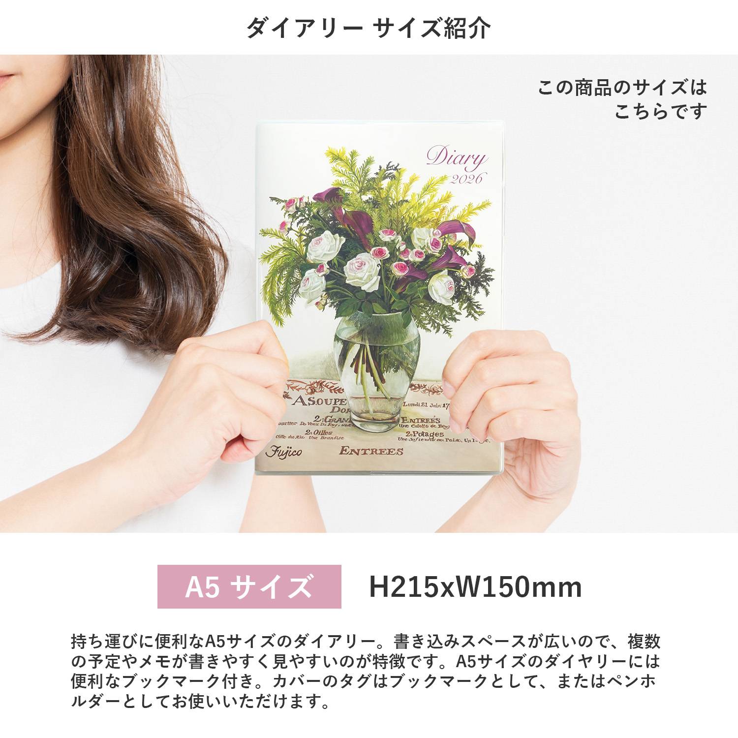 2026�������꡼����������ҥԥ󥯤Ȼ�ΥХ��dy-132