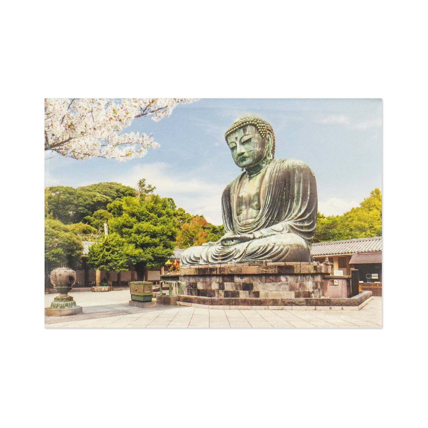 �ʥޥ��ͥåȡ�������ʩ��im-016