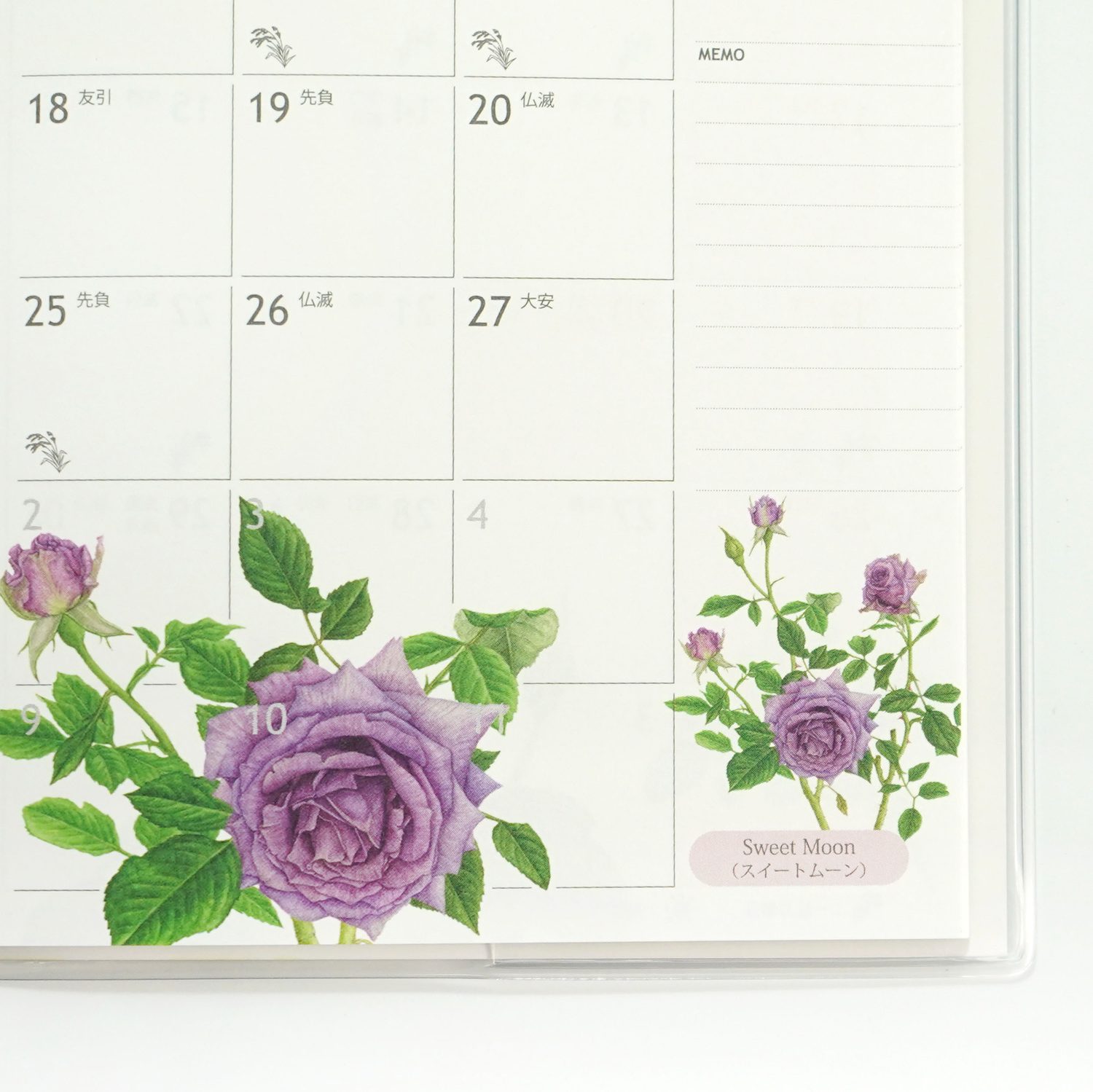 2026�������꡼���������饷�å��������ԥ��ϡ�dy-141