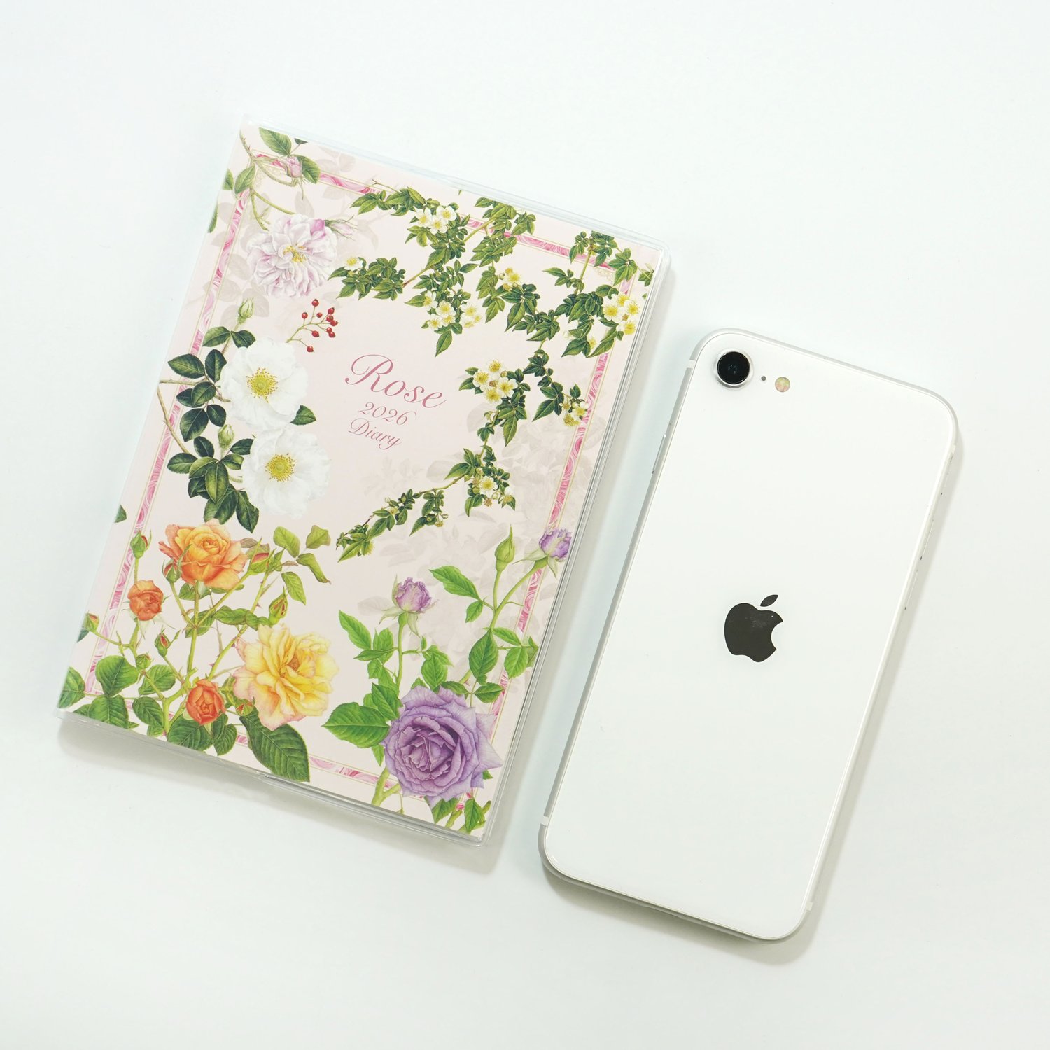 2026�������꡼���������饷�å��������ԥ��ϡ�dy-141