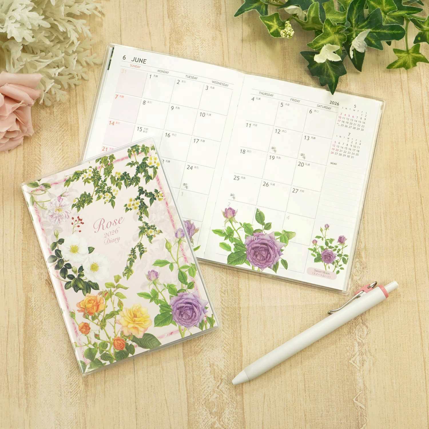 2026�������꡼���������饷�å��������ԥ��ϡ�dy-141