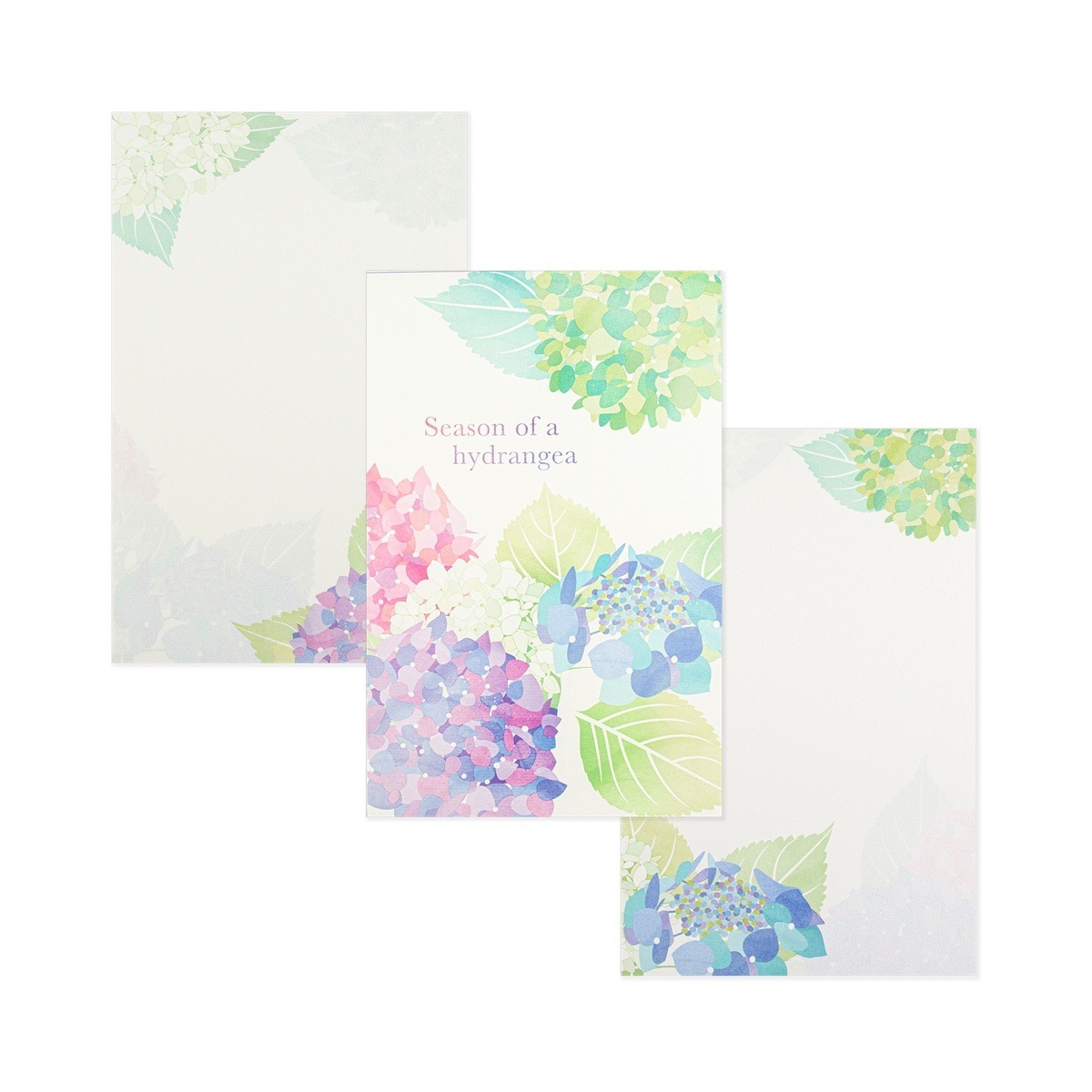 ��䵡�����������pd-651