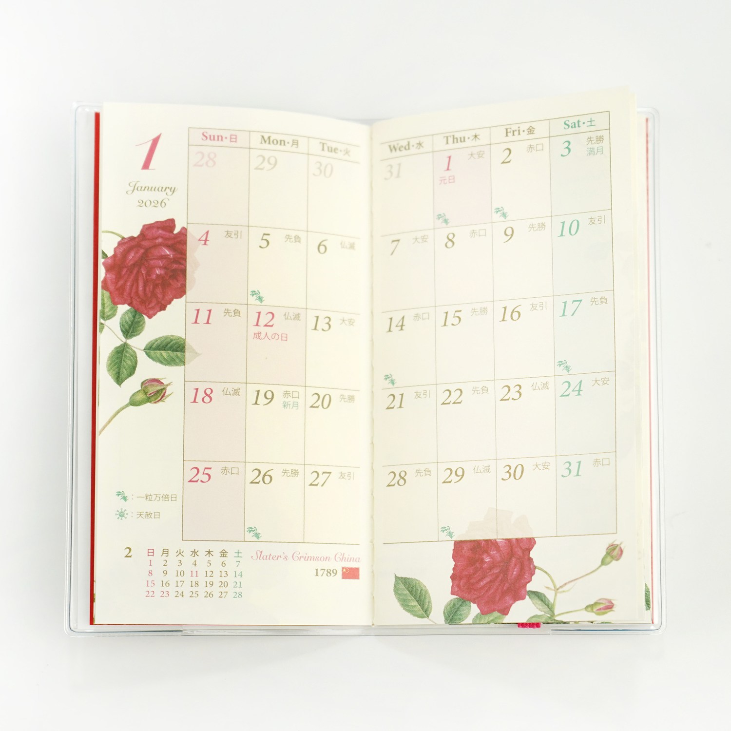 2026�������꡼�ӣӡ����饷�å��������ԥ��ϡ�dy-147