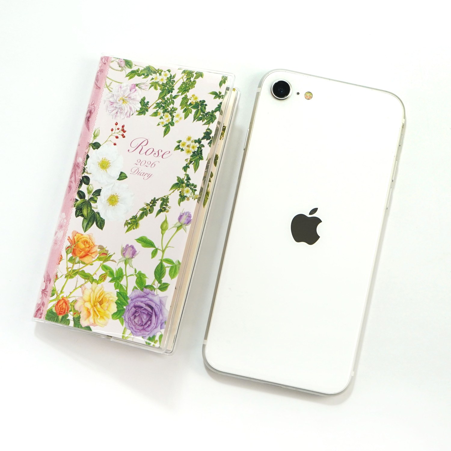 2026�������꡼�ӣӡ����饷�å��������ԥ��ϡ�dy-147