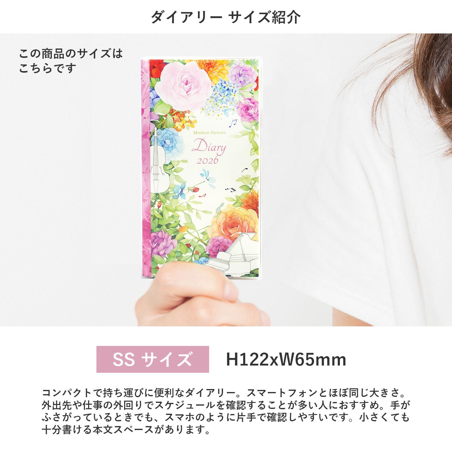 2026�������꡼�ӣӡ����饷�å��������ԥ��ϡ�dy-147