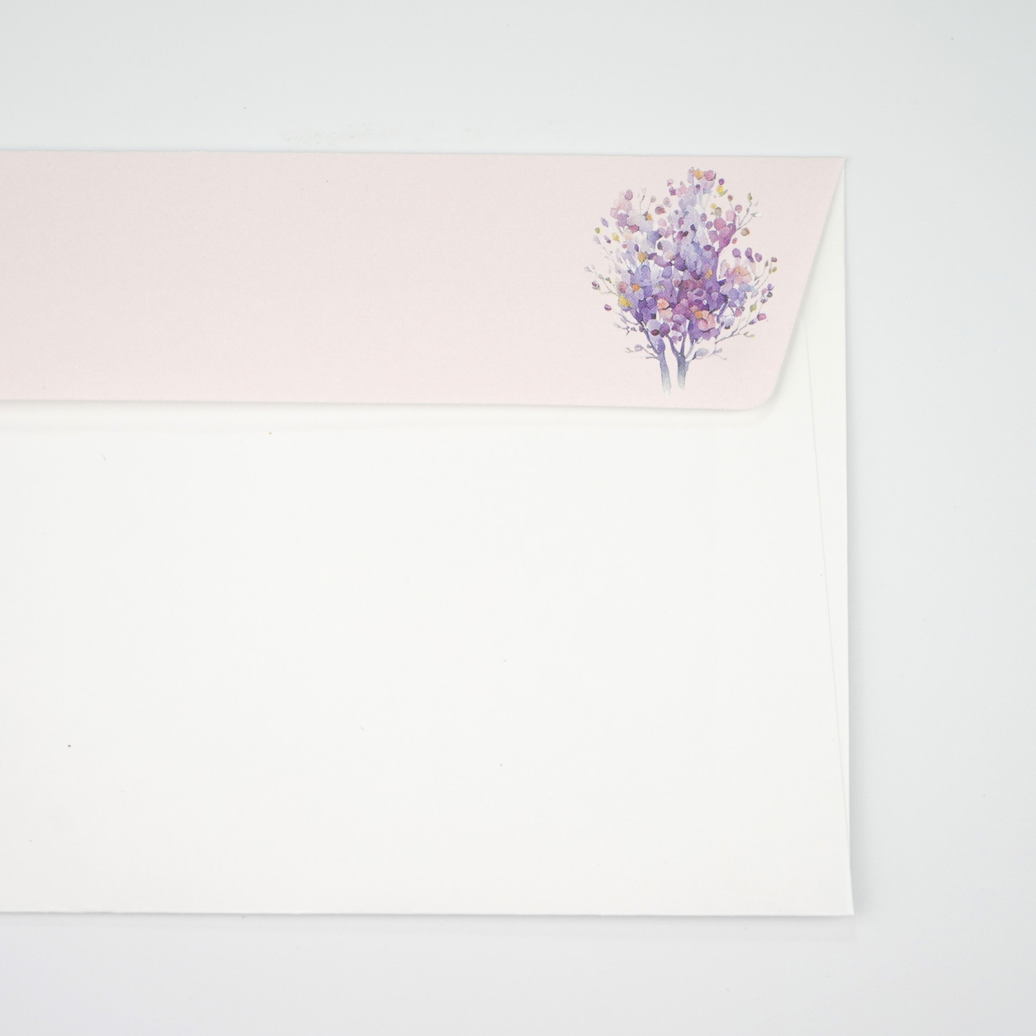 �������դζ�����ev-673