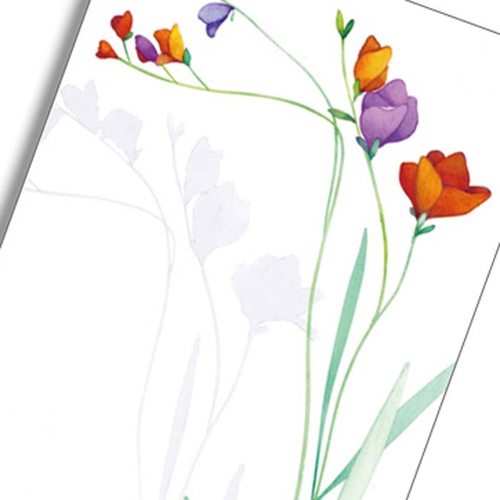 �ݥ��ȥ����ɡ�Sakai-015��pcr-031