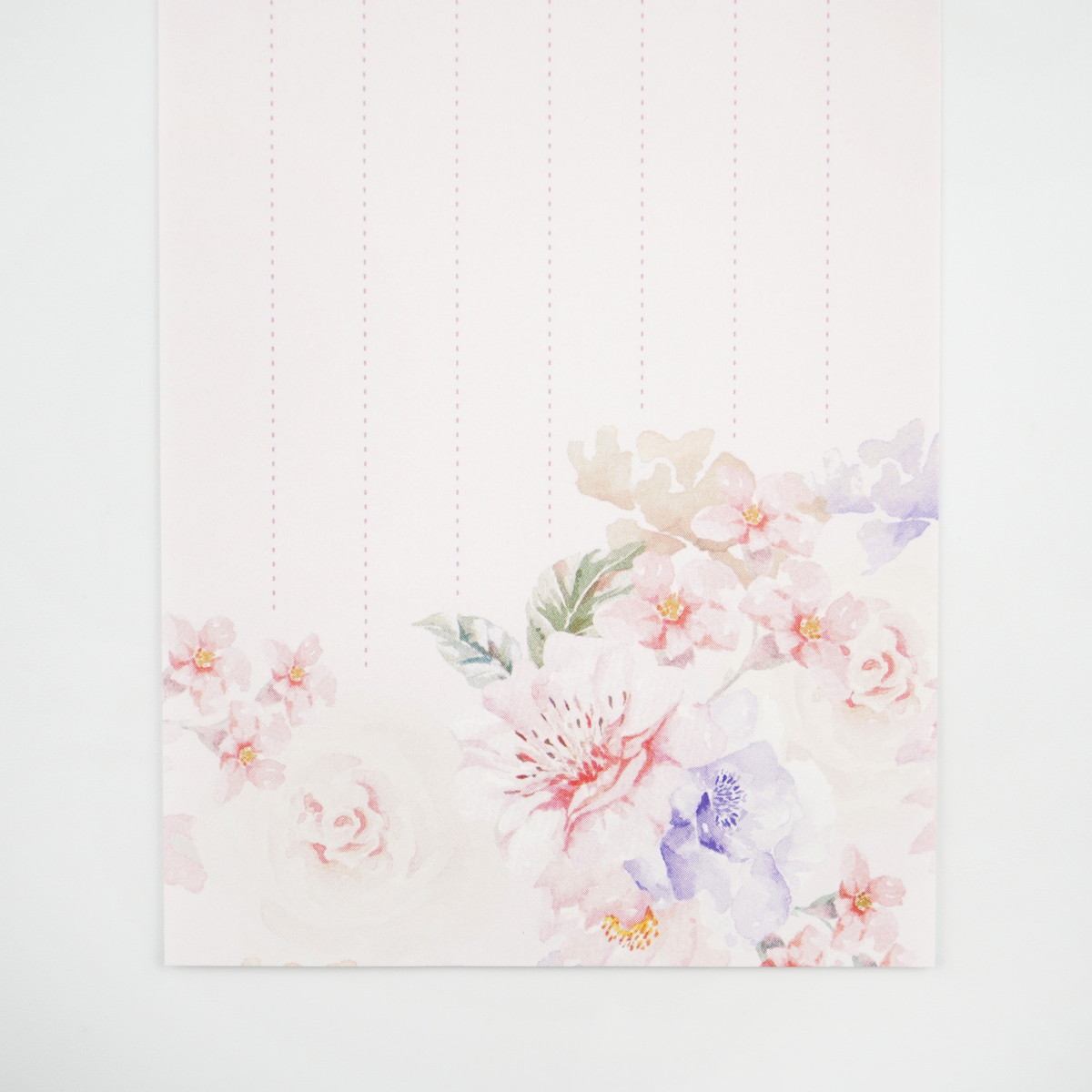 �Τ�������ɮ䵥��åȡ��ۤ�ε�������nsf-074