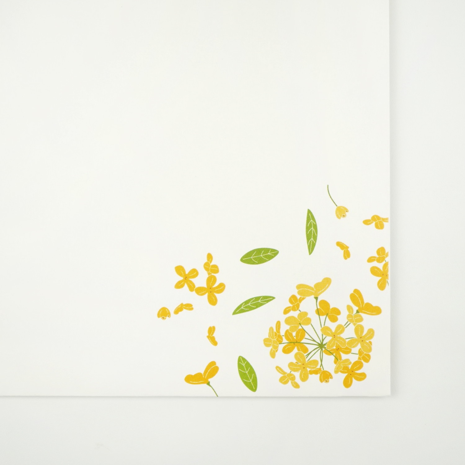 ���� ���ںԡ�ev-630