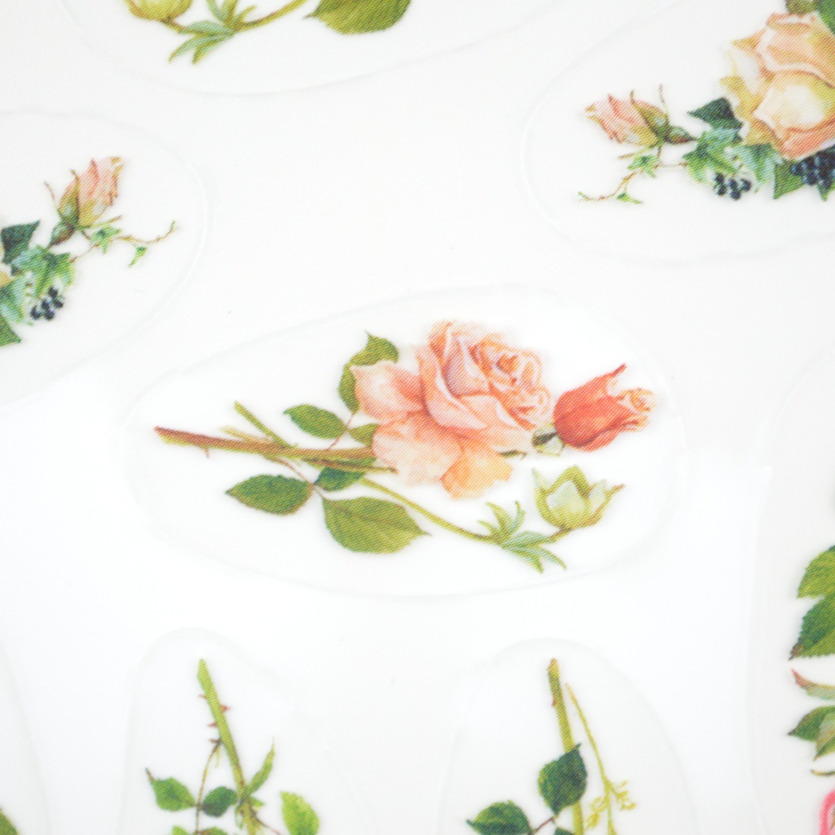 �����롡�ƣ�����亮�꡼���Σ����sl-230