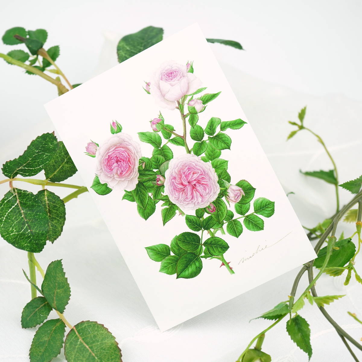 �ݥ��ȥ����ɡ��ޥꥢ�ƥ쥸����pcr-036
