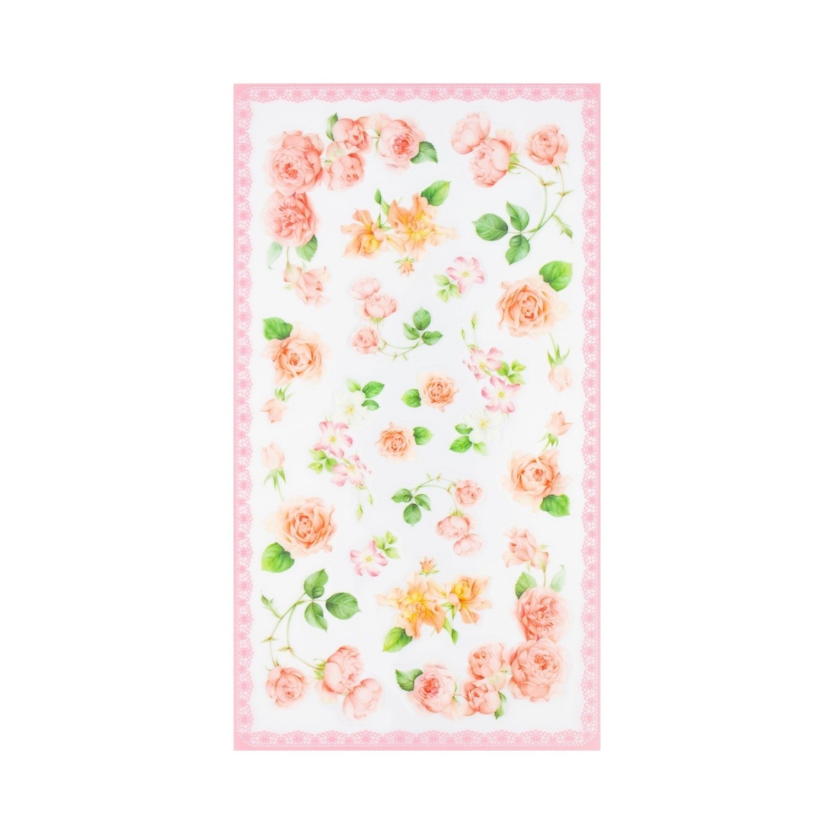 �����롡�ԥ󥯥�������sl-232