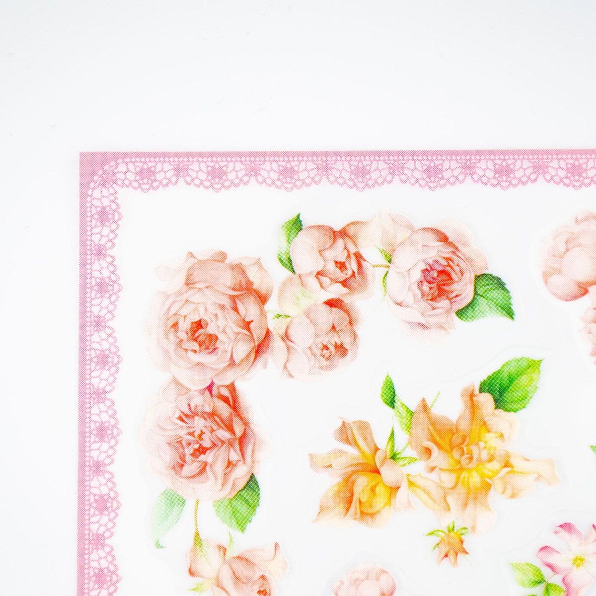 �����롡�ԥ󥯥�������sl-232