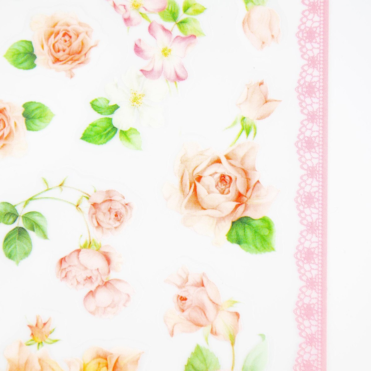 �����롡�ԥ󥯥�������sl-232