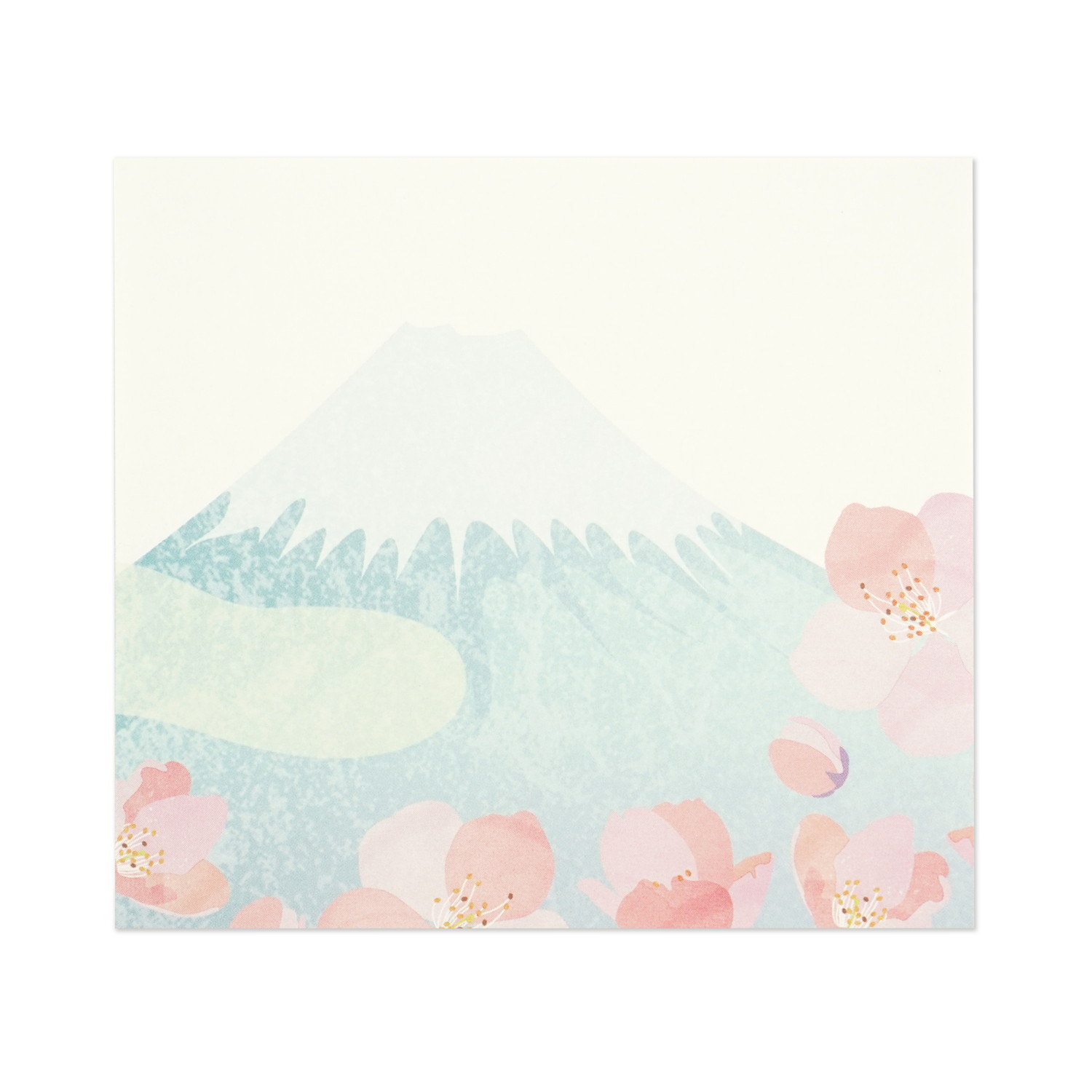 �֥��å���⡡�ٻλ����쥯������wp-091