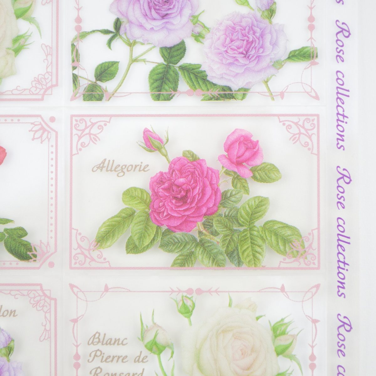 �����롡����å��å��������ԥ󥯡�sl-234