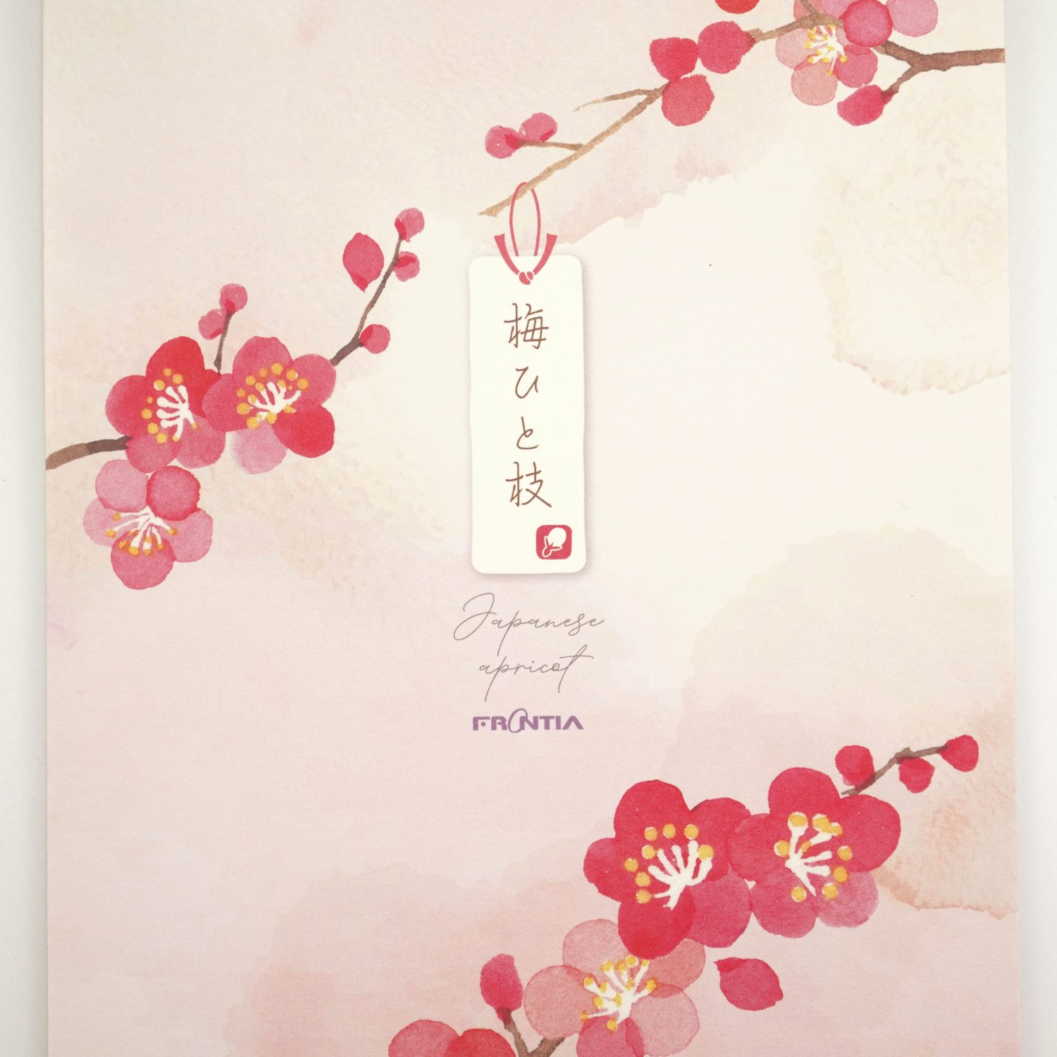 ��䵡��ߤҤȻޡ�pd-688