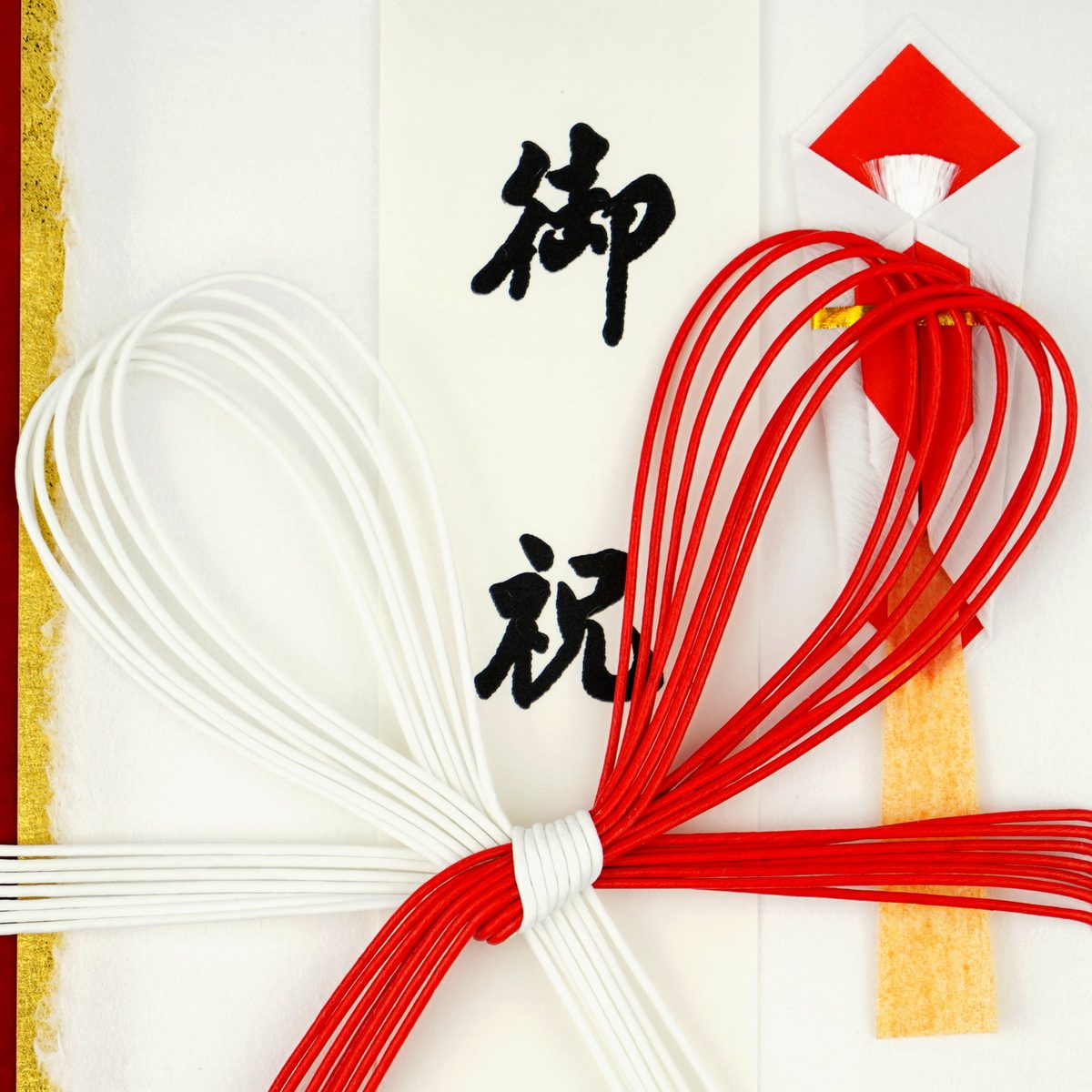 ����� ������»��sg-081