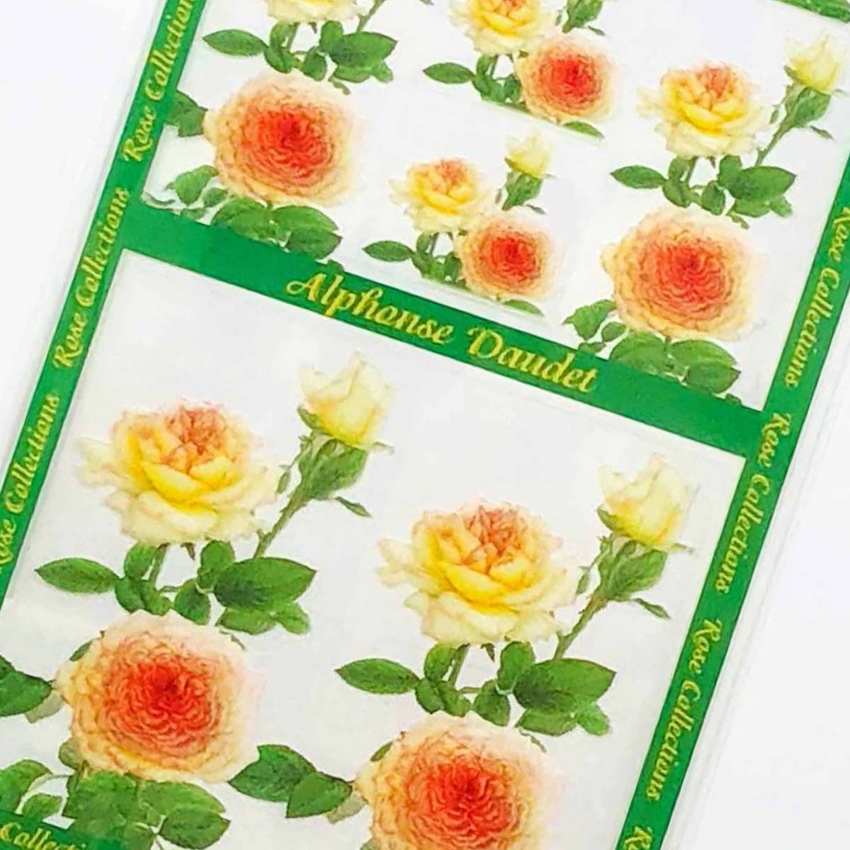 �����롡����ե��󥽥ɡ��ơ�sl-135