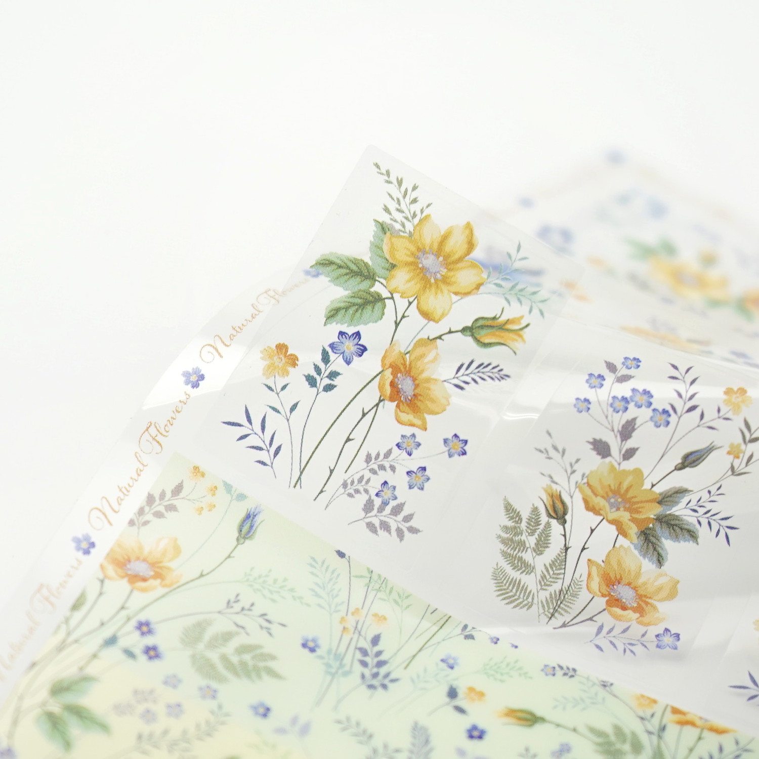 �����롡�ĤȲ��ξ��֡�sl-226