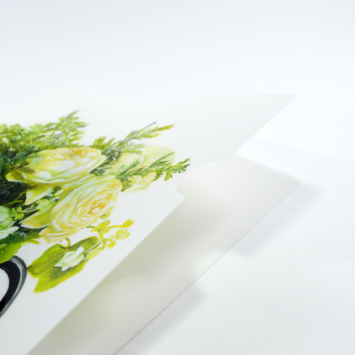 ���ꥢ�ե������A4���ϥ���ȥե������꡼����cf-024